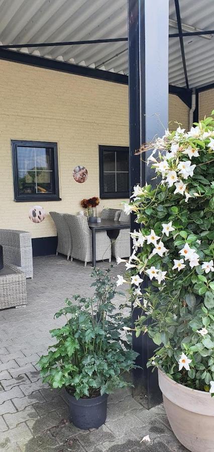 Luxe gastenkamer met living en keuken bij Friezen paarden Stal Pellendijk Westendorp Buitenkant foto